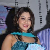 Payal Gosh Hot Gallery | Picture 93170